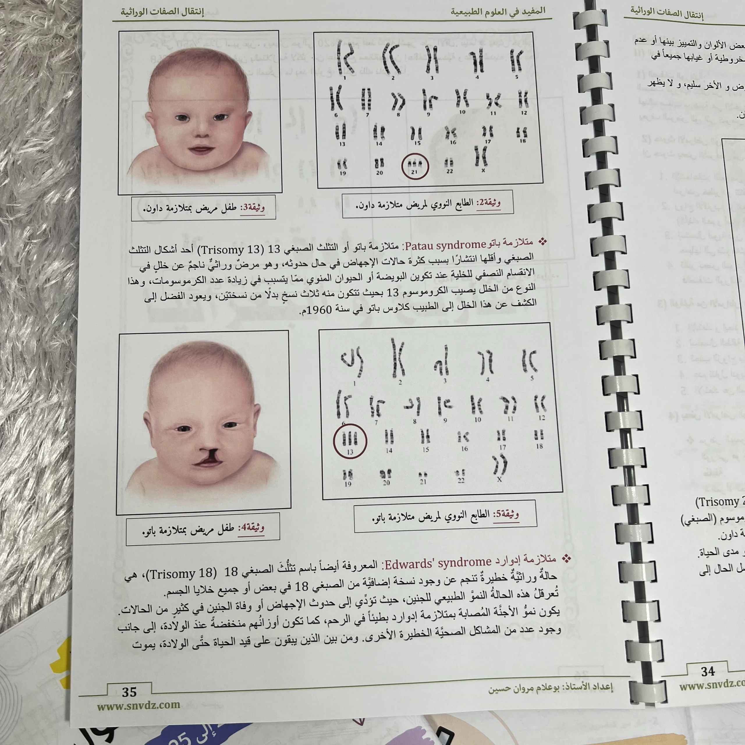 ملخصات لجميع المواد