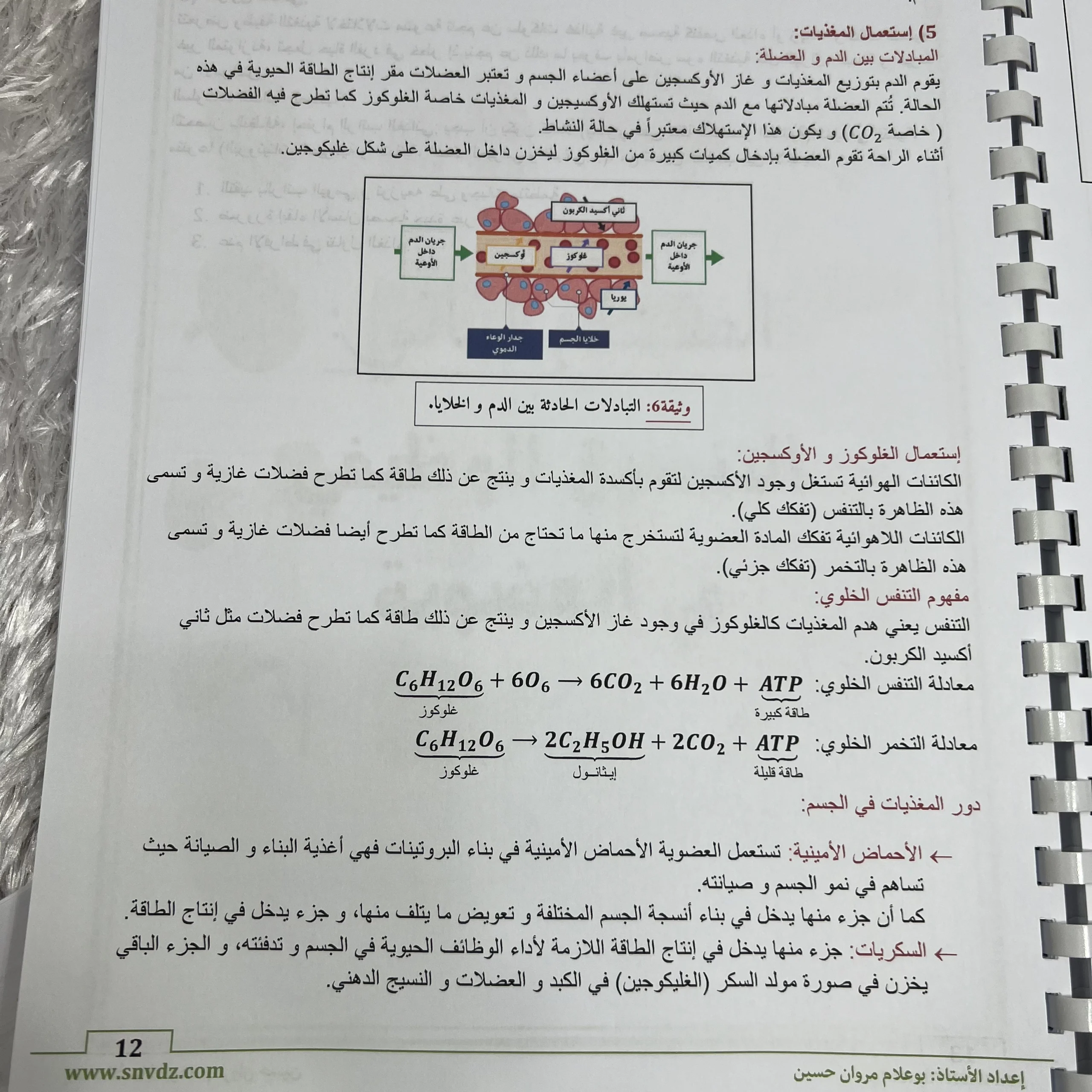 ملخصات السنة الرابعة متوسط