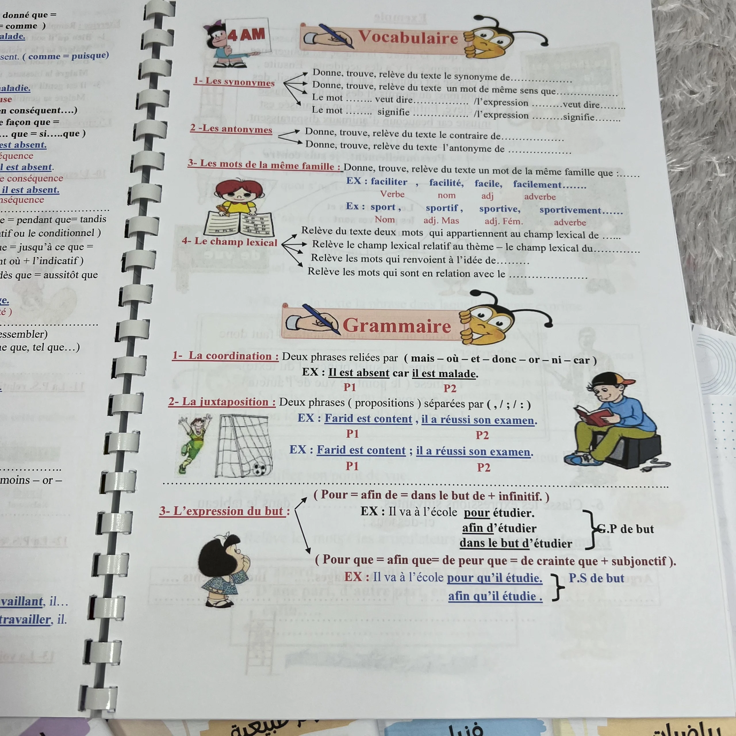 ملخصات السنة الرابعة متوسط