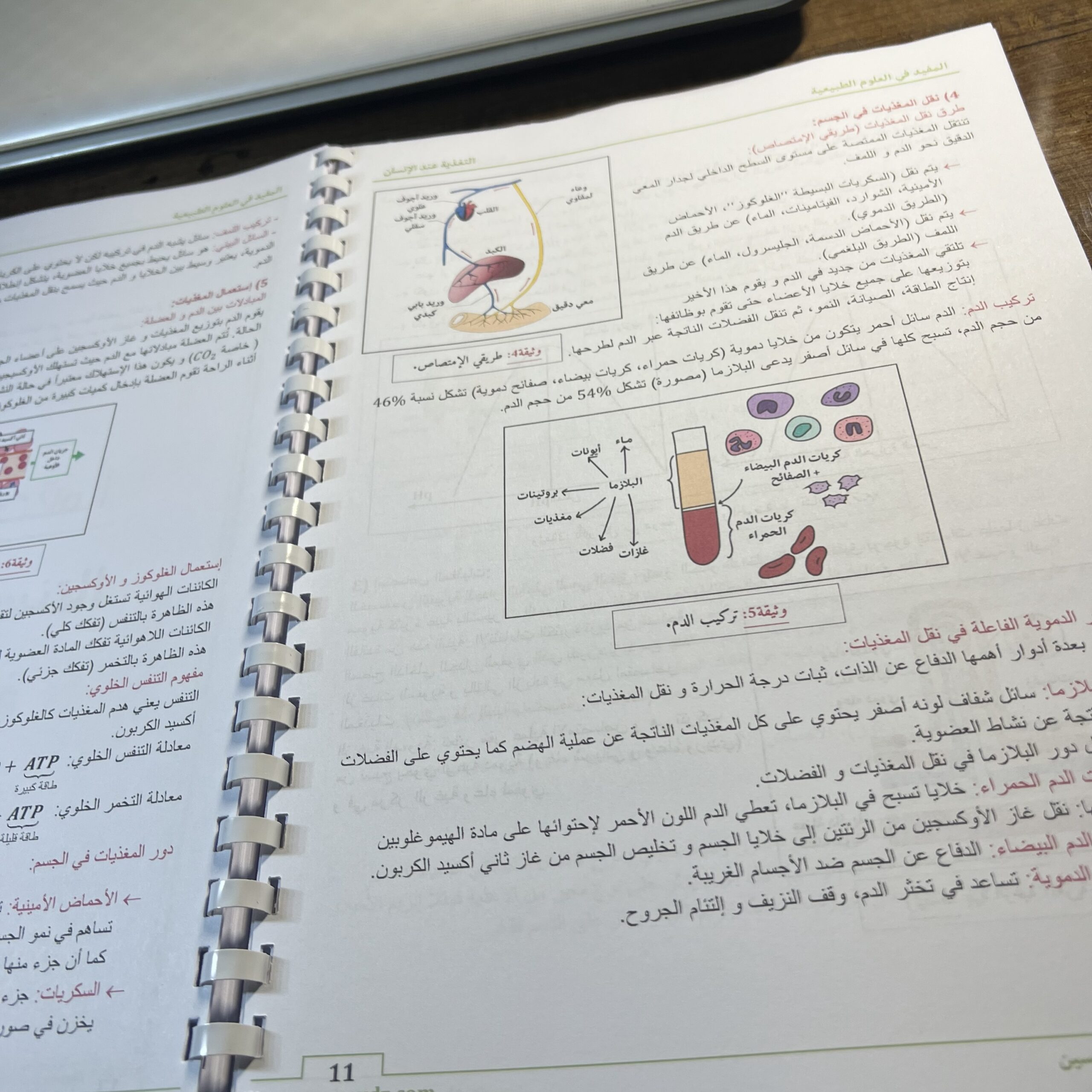 ملخصات شاملة في جميع المواد BEM 2026 - الصورة 2